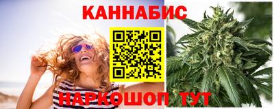 spice Кингисепп