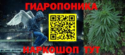 мет Кимры