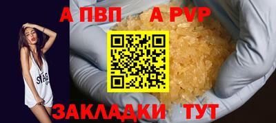 spice Кингисепп