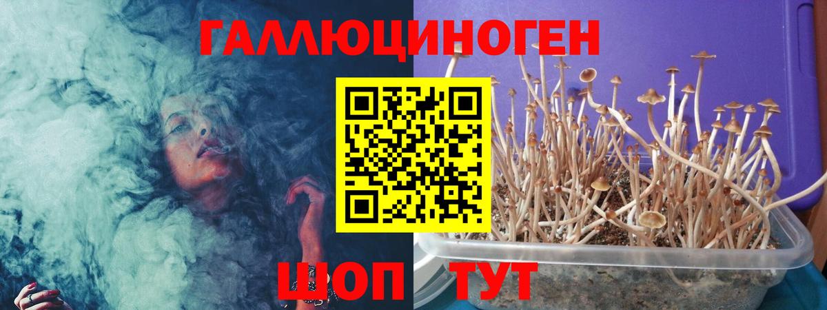 Лабинск  что такое наркотик  Вход с VPN  Псилоцибиновые грибы мухоморы 